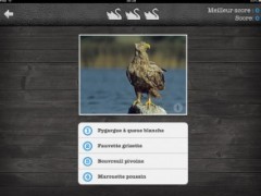Application Les oiseaux Pro HD free sur iPad Application Les oiseaux Pro HD free sur iPad