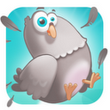 il est con ce pigeon jeu android