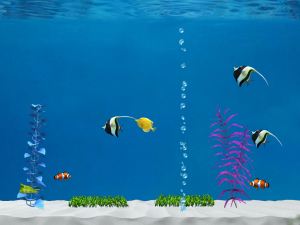 Colorful Aquarium for iPad Lite