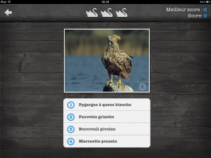 Application Les oiseaux Pro HD free sur iPad