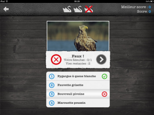 Application Les oiseaux Pro HD free sur iPad