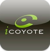 i coyote