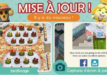 Animal Pocket Crossing Camp mise à jour de Noel