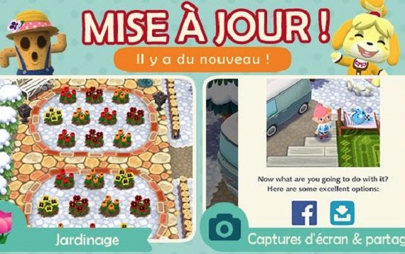 Animal Pocket Crossing Camp mise à jour de Noel