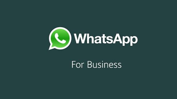 WhatsApp Business réseau social pour entreprises